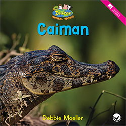 Cover of Childrens Book author Debbie Moeller's work 'Caiman'