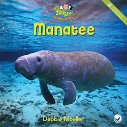 Cover of Childrens Book author Debbie Moeller's work 'Manatee'