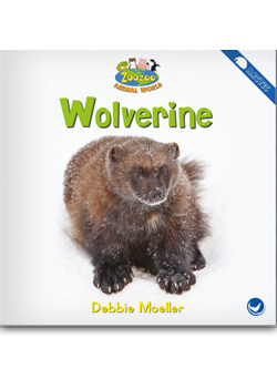 Cover of Childrens Book author Debbie Moeller's work 'Wolverine'